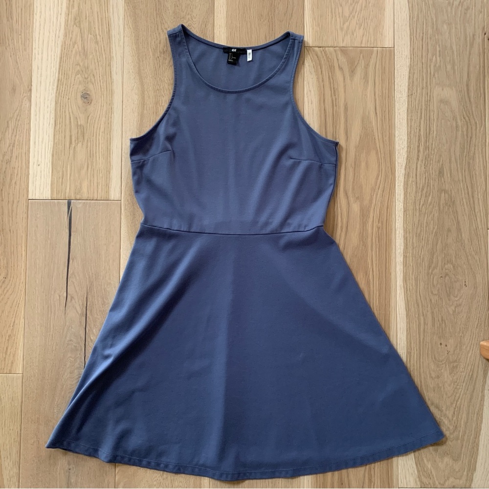 H&M Skater Dress